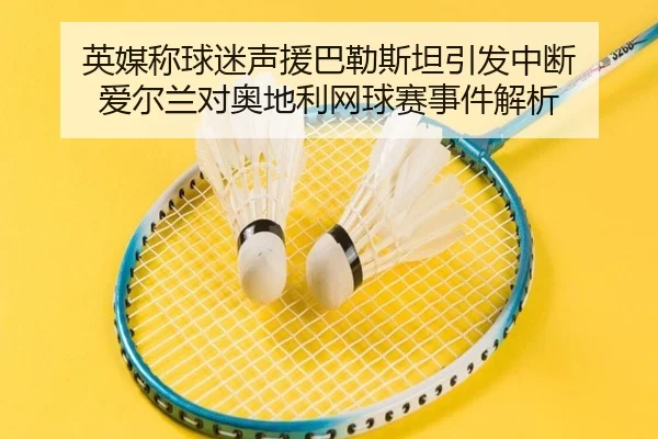 英媒称球迷声援巴勒斯坦引发中断 爱尔兰对奥地利网球赛事件解析 | c7